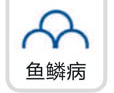 鱼鳞病