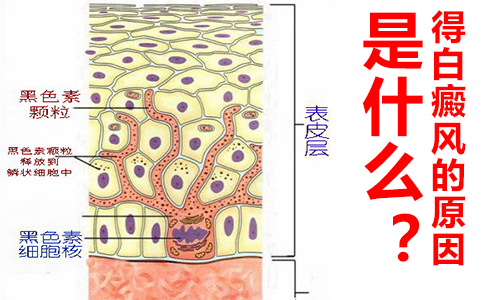 南阳皮肤病医院