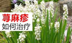 荨麻疹怎样治疗