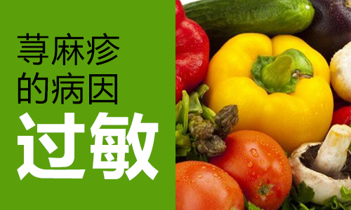 为什么会得荨麻疹(图1) 南阳皮肤病医院