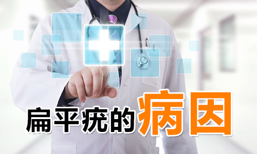 扁平疣的原因有哪些(图1) 南阳皮肤病医院