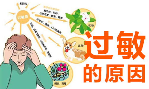 过敏原因有哪些(图1) 南阳皮肤病医院