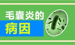 引起毛囊炎的原因有哪些