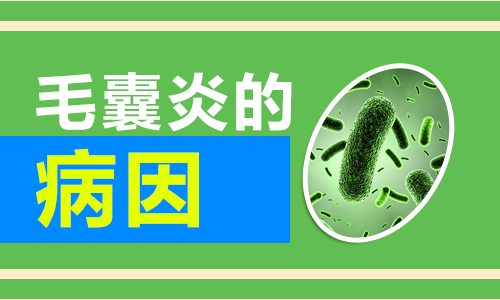 引起毛囊炎的原因有哪些(图1) 南阳皮肤病医院