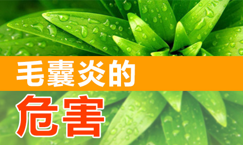 毛囊炎有什么危害(图1) 南阳皮肤病医院