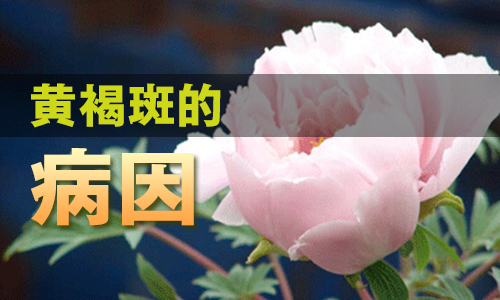 南阳皮肤病医院
