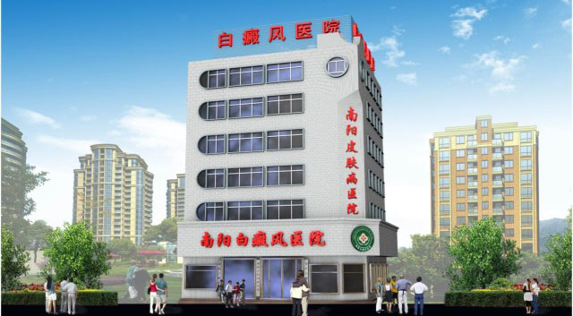 礼赞11月 · 情暖南阳—北京军区白癜风专家苏有明教授第八期会诊